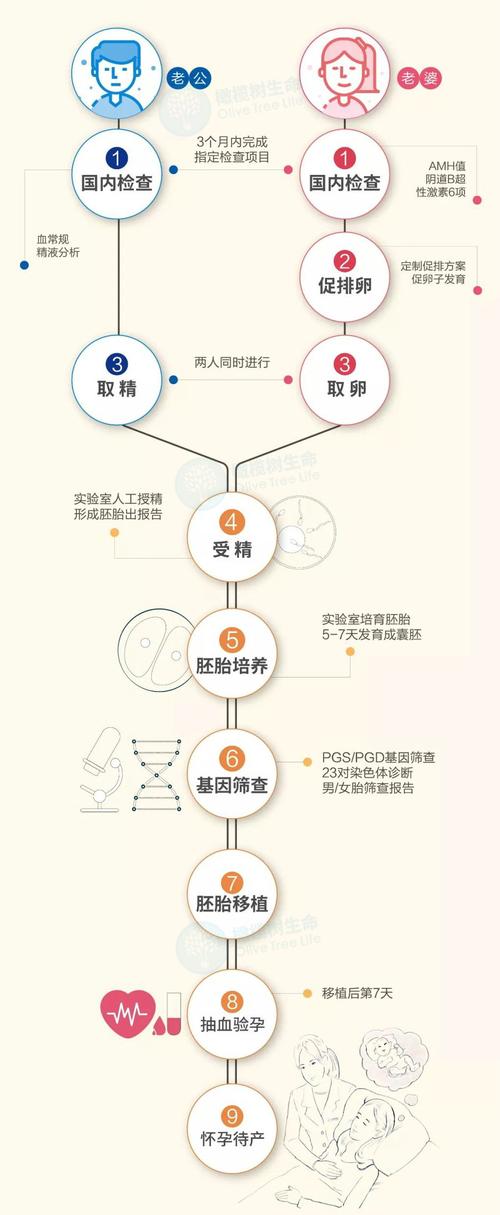 北京三代供卵试管流程-北京三代供卵试管流程详解