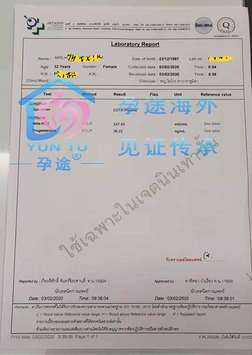 同志试管代怀包成功费用_同志试管代怀包成功费用解析